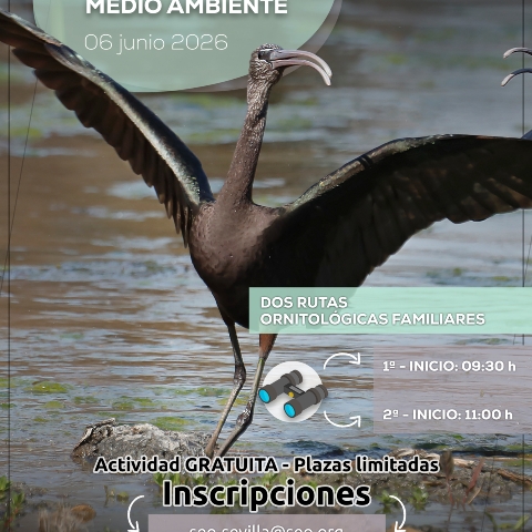 Cartel Día Mundial Medio Ambiente 2026 - JPG 01