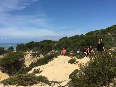 Pico_del_Loro_2