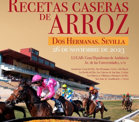 CONCURSO ARROZ PRODETUR