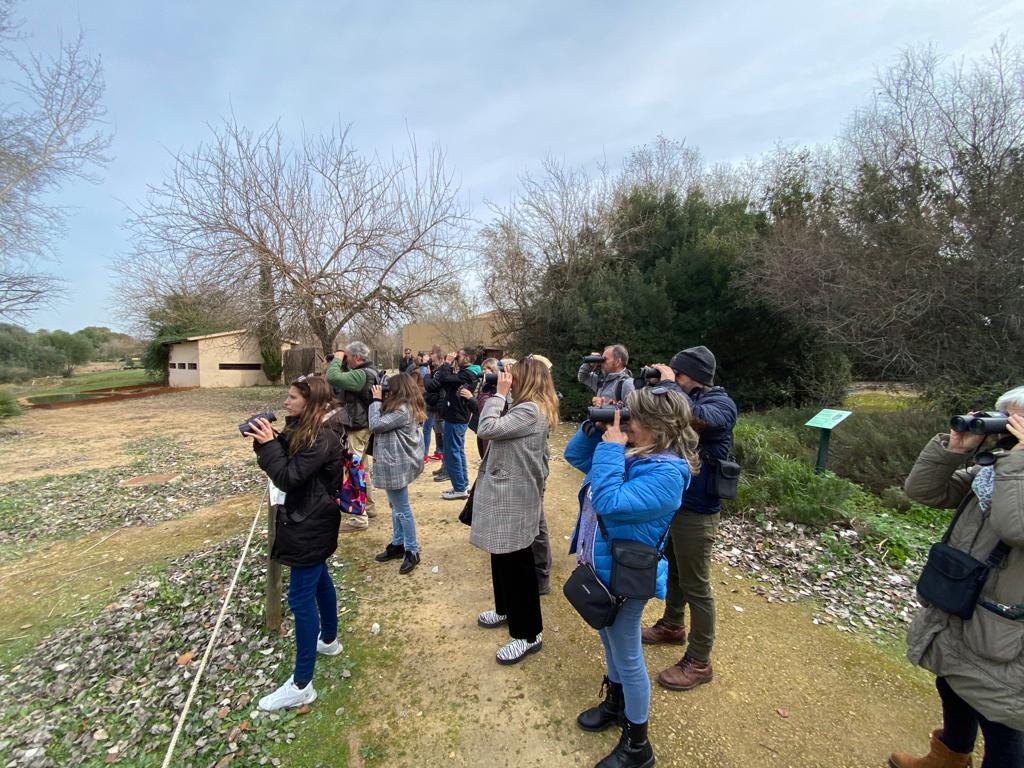 Visita humedales Dos Hermanas y recursos turisticos -