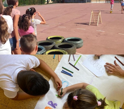 escuelas de verano04