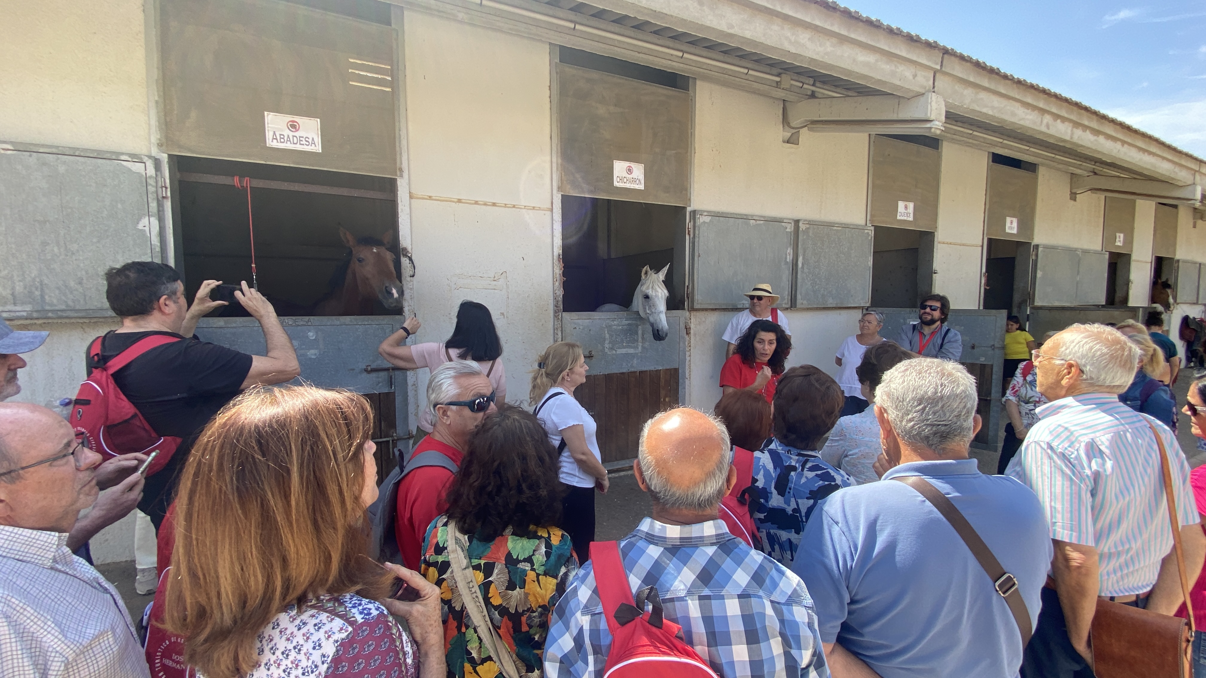 visitas turísticas02