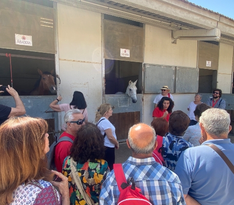 visitas turísticas02