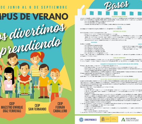 Escuelas de verano plana