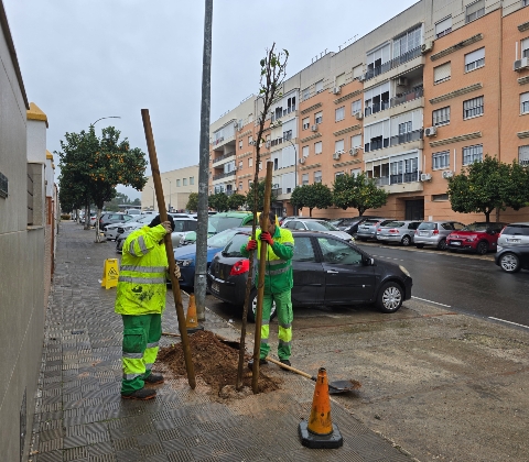 Inicio campaña plantación