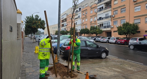 Inicio campaña plantación