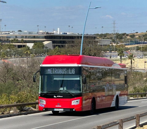 buses02