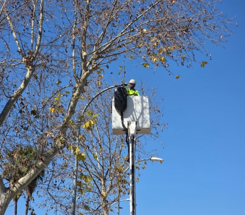 ALUMBRADO CRUCE PEATONES