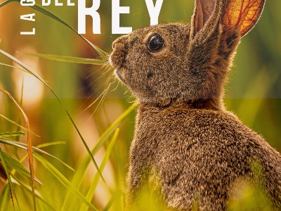 CARTEL CONCURSO FOTOGRAFICO FUENTE DEL REY