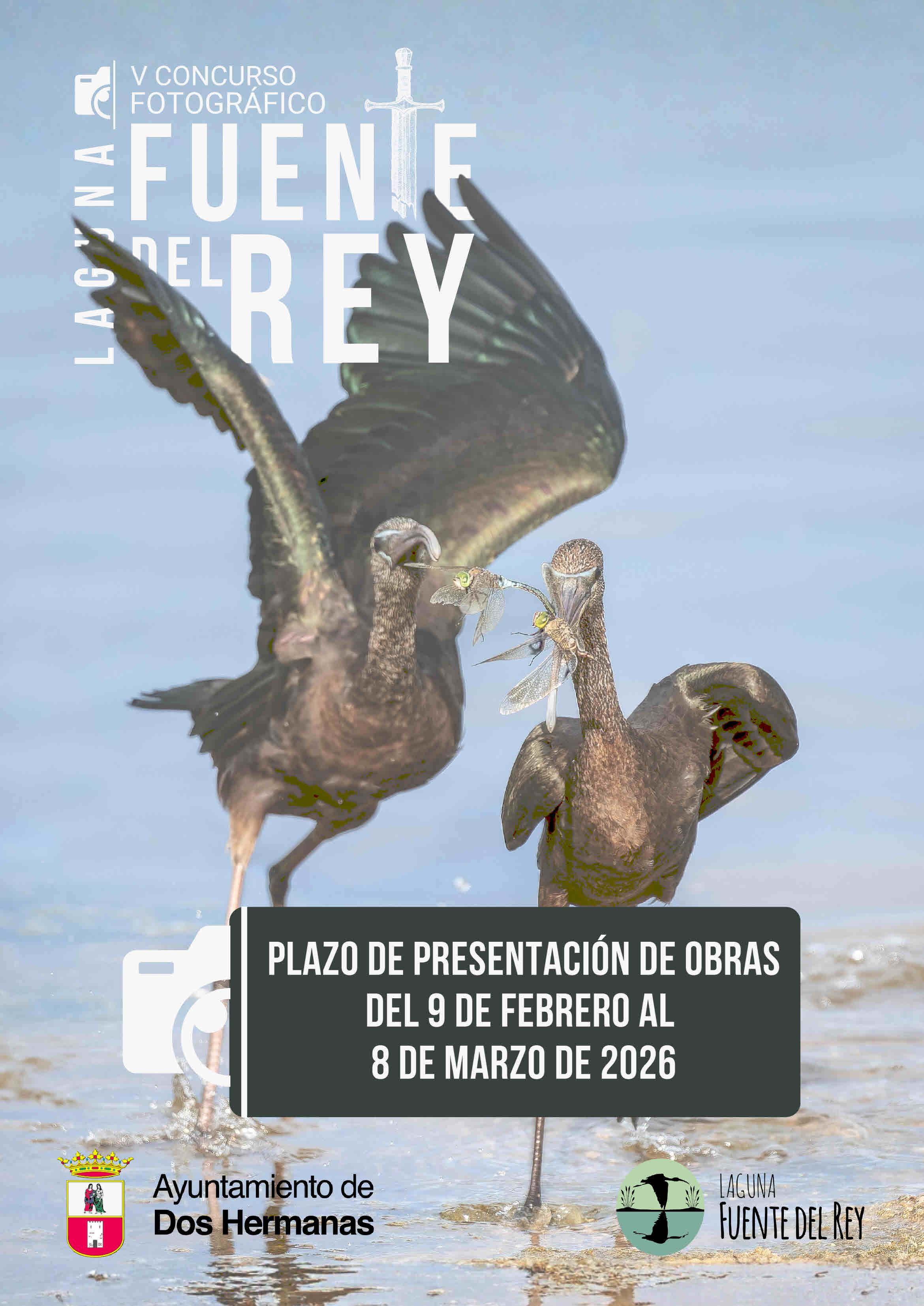CONCURSO FUENTE DEL REY 2025