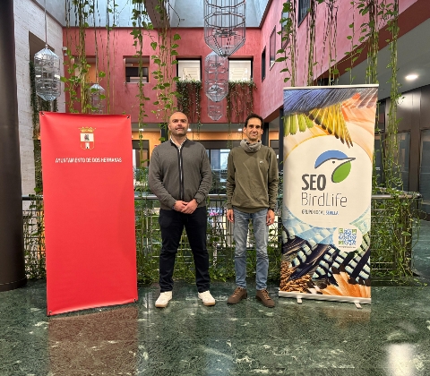 CONVENIO SEO AYTO DOS HERMANAS