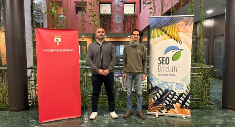 CONVENIO SEO AYTO DOS HERMANAS