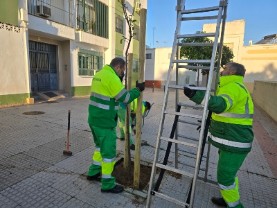 Campaña de plantación (1)