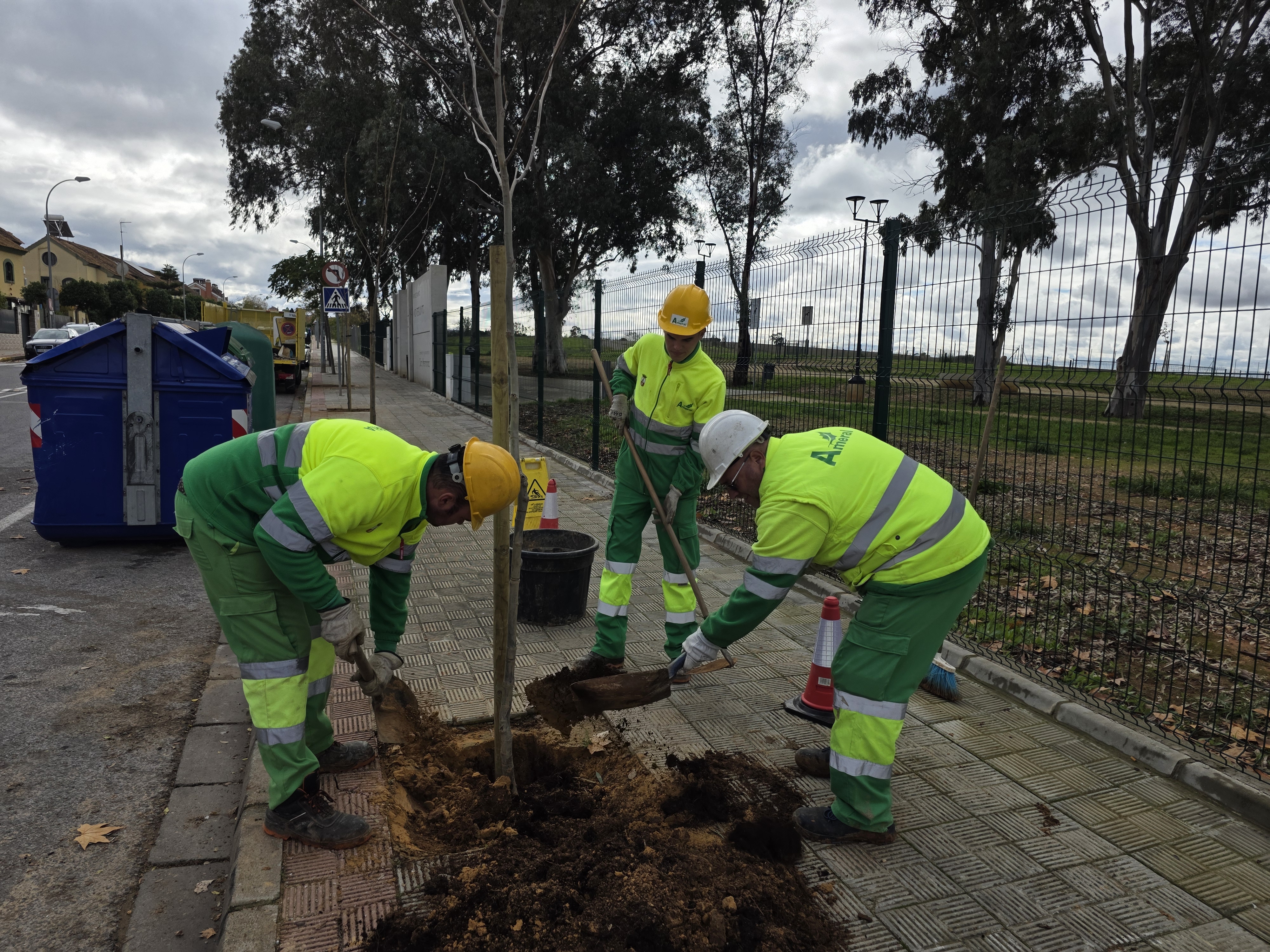Campaña plantación (1)