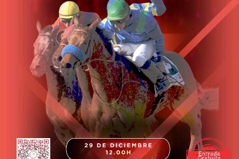 Carreras Caballos 29 de diciembre 2024