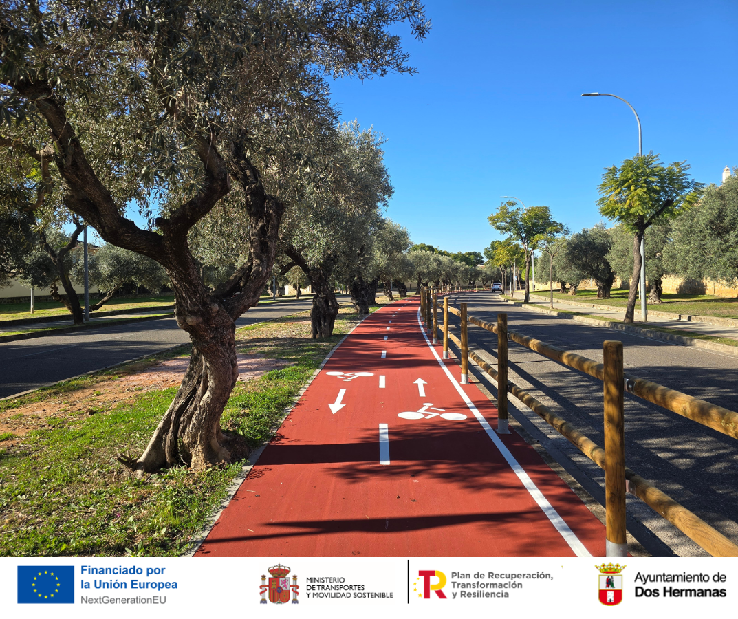 Carril bici Olivar de Quintos