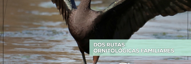 DIA MUNDIAL MEDIO AMBIENTE FUENTE DEL REY