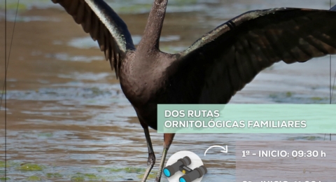 DIA MUNDIAL MEDIO AMBIENTE FUENTE DEL REY