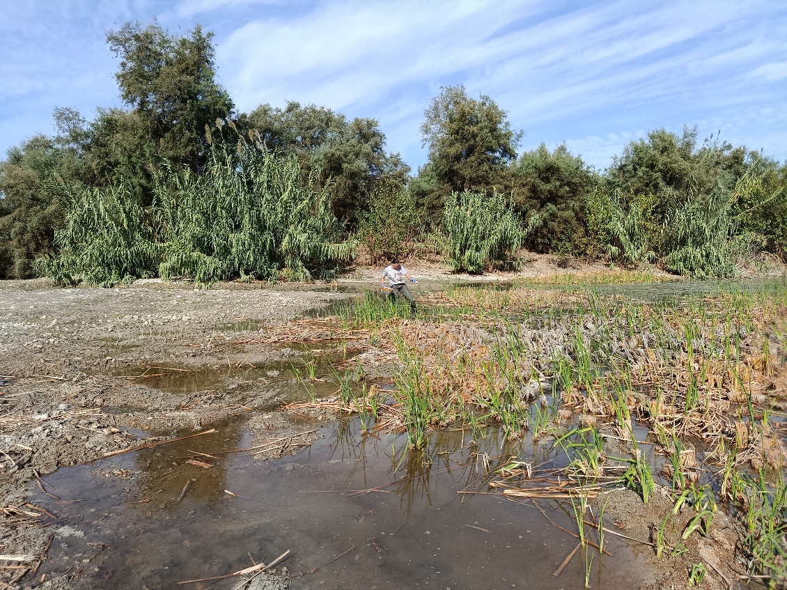 Estudio US Laguna Fuente del Rey