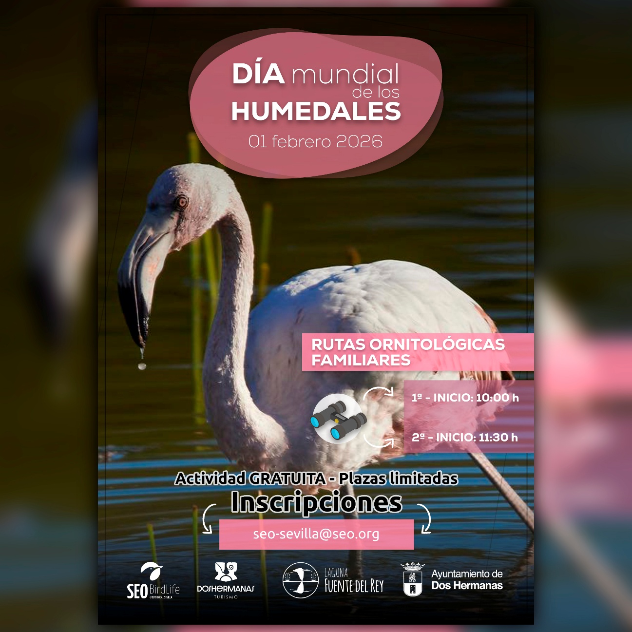 HUMEDALES
