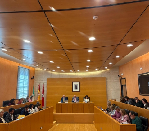 PLENO MARZO