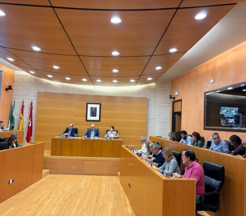 PLENO ORDENANZAS FISCALES