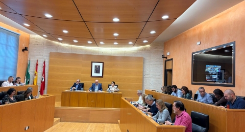 PLENO ORDENANZAS FISCALES