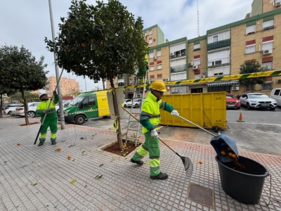 RETIRADA NARANJA AMARGA 02